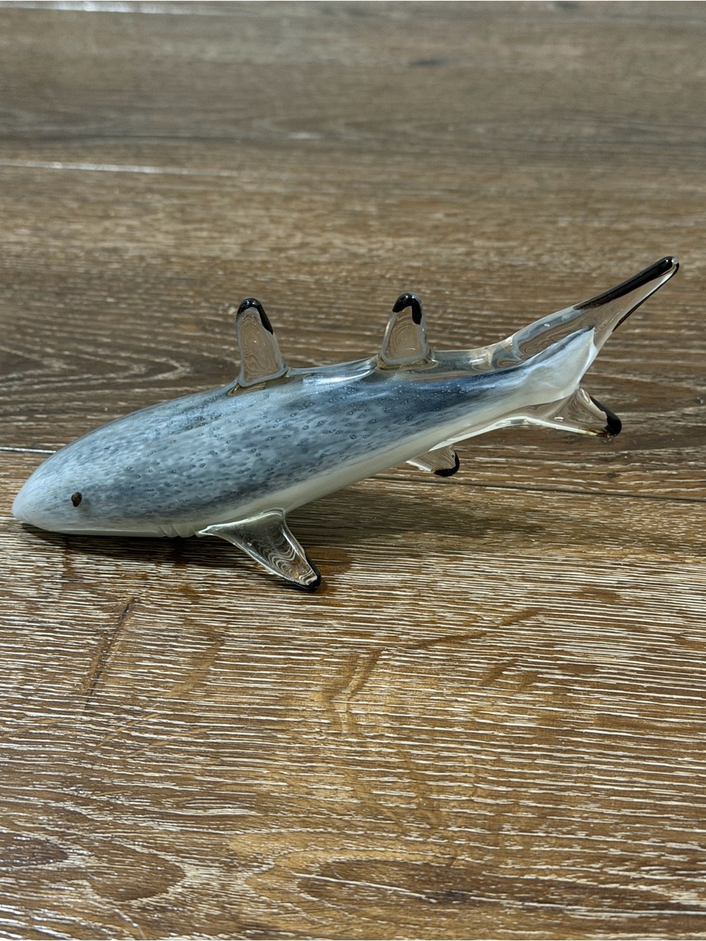 Dynasty gallery shark glass - Picture 1 of 10
